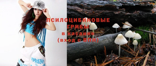 амф Болохово