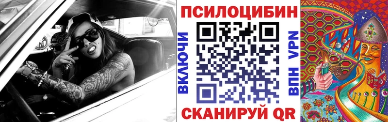 Галлюциногенные грибы Psilocybine cubensis  Купить  Тогучин 